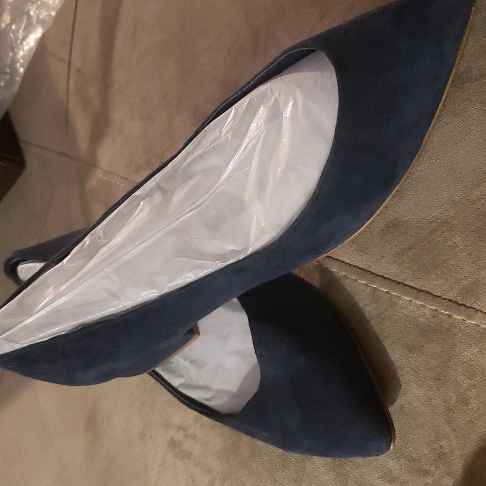 Pointed Navy Suede Flats for Women